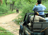 Wildlife Tour Rajasthan